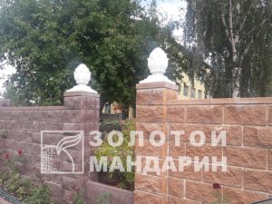 20170912_130843-900×675