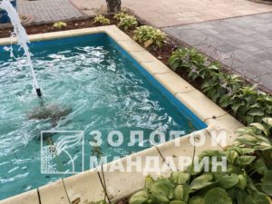 IMG_1629-900×675