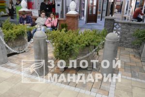 P1070623-900×600