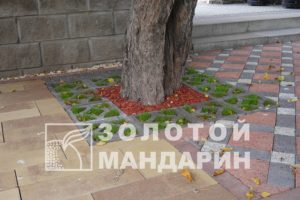 P1090393-900×600