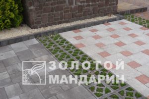 P1090429-900×600