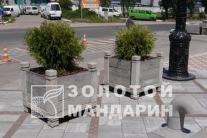 P1090796-900×600