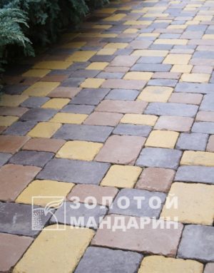 plats (8)-705×900